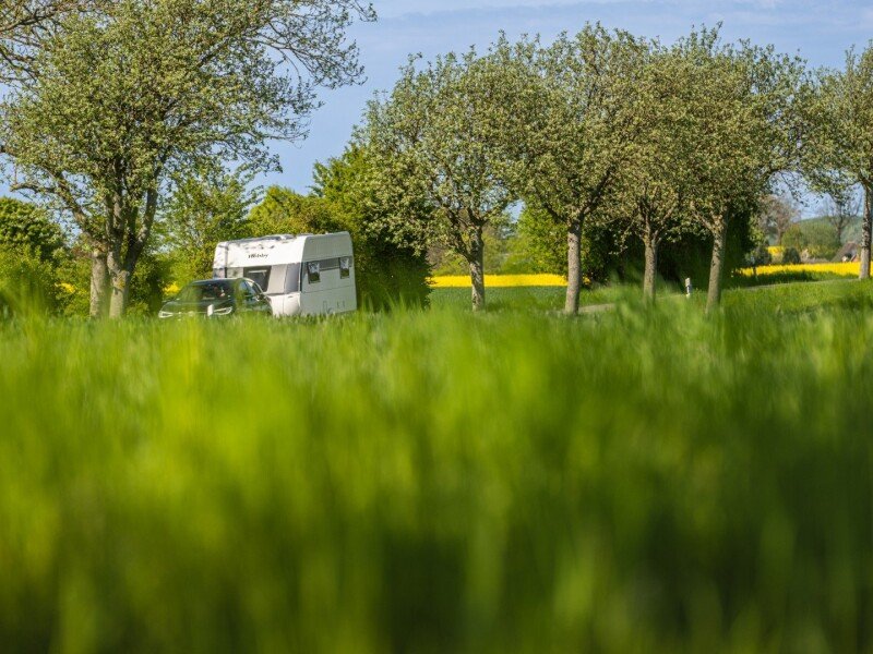 2027 WW DeLuxe 495UL Aussen Ollo 7541 BEAR PRESSE